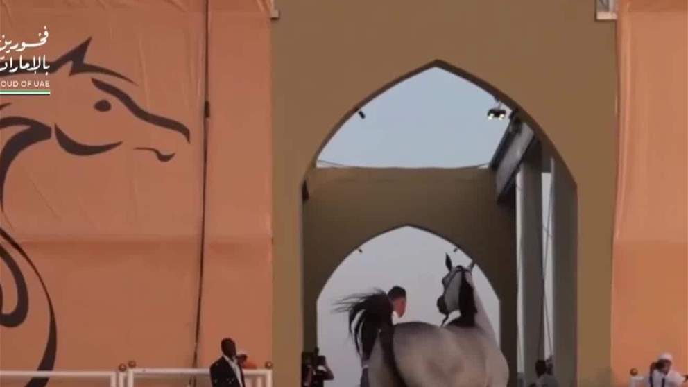 بطولة الفجيرة الدولية لجمال الخيل العربية تنضم الى قائمة البطولات الاماراتية المصنفة ضمن الفئة " A "
