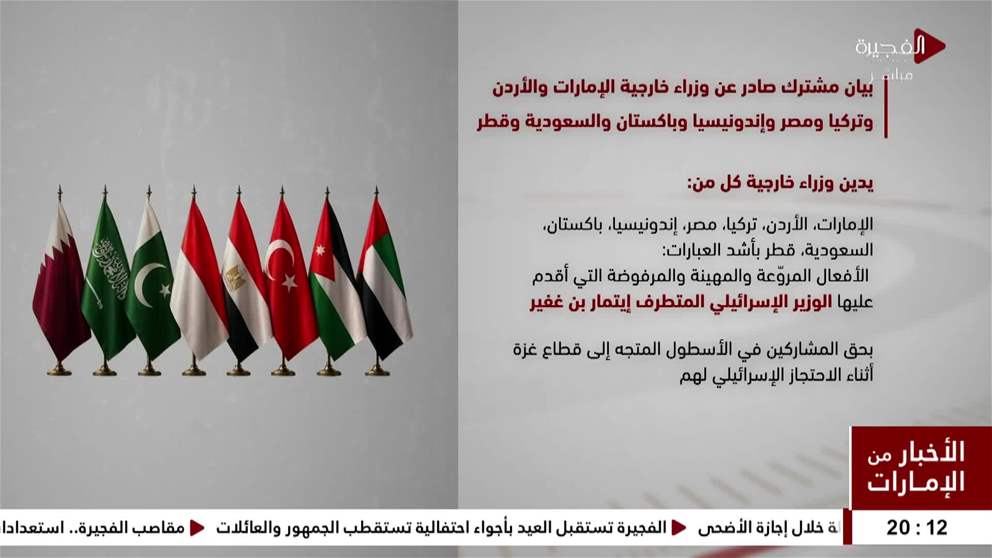 بيان عربي مشترك يدين الانتهاكات الإسرائيلية بحق المحتجزين