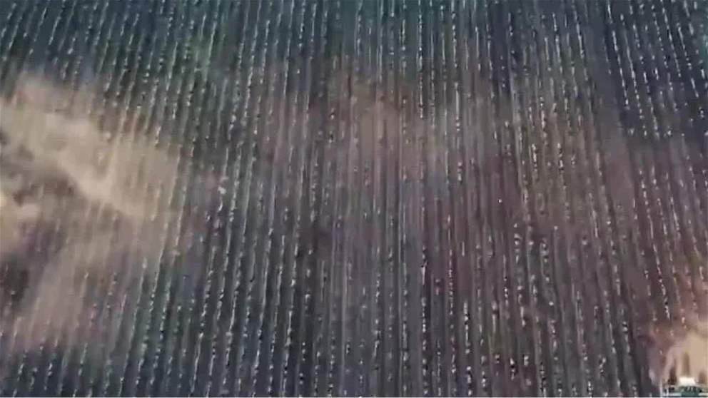 الامارات تتبنى نهجا متكاملا لتعزيز الامن الغذائي
