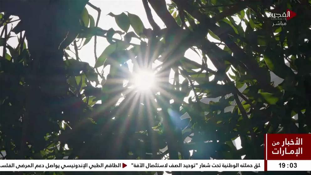 رئيس الدولة يستقبل وفد منصة اصنع في الإمارات