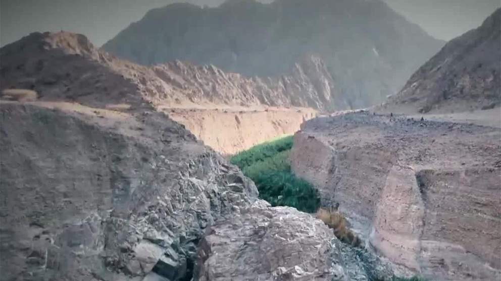 محمية وادي الوريعة بالفجيرة.. مسيرة عمل بيئي نوعي على مدار أكثر من 20 عاماً