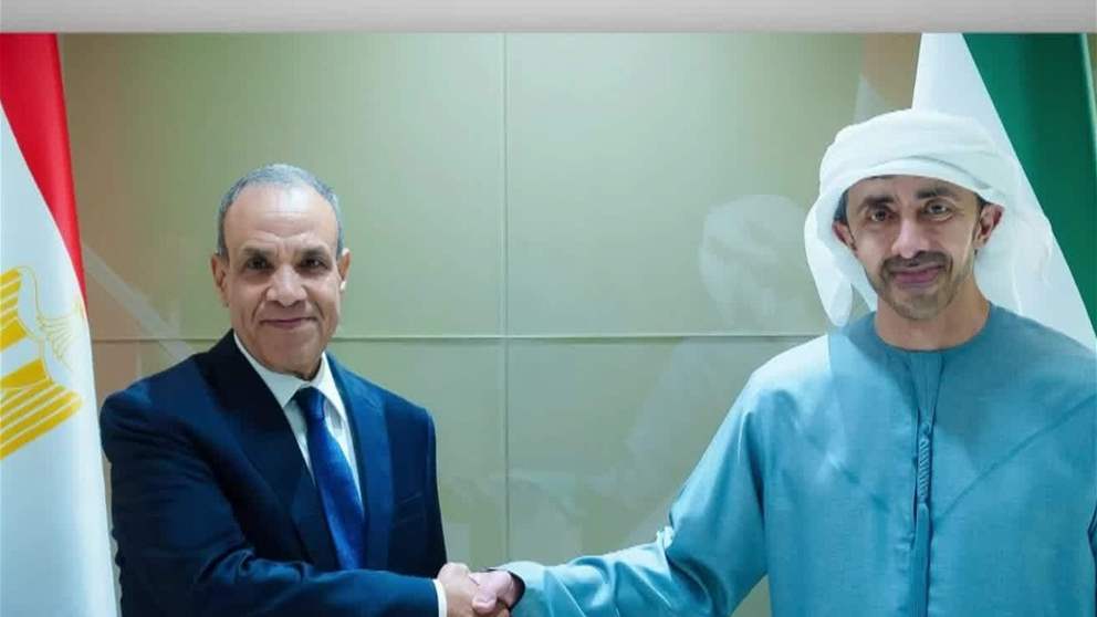 عبد الله بن زايد يستقبل وزير الخارجية المصري