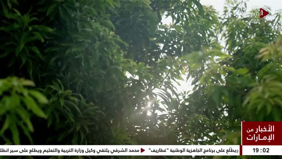 رئيس الدولة يستقبل المشاركين في اعمال ورشة قادة الامم المتحدة لعمليات السلام 2026