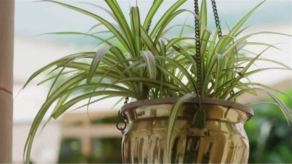 ولي عهد أبو ظبي ورئيس الوزراء الهندي يبحثان العلاقات الثنائية وسبل تعزيزها