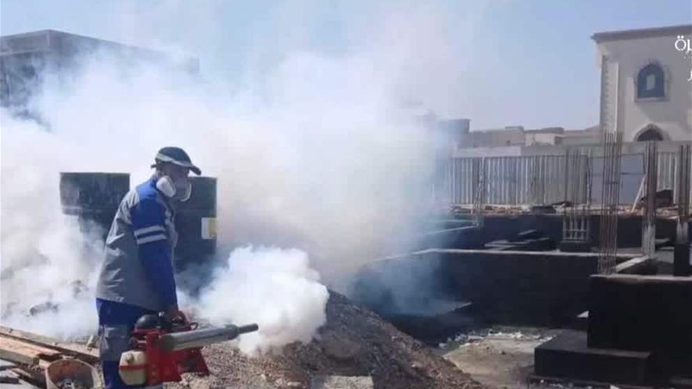 بلدية دبا تنفذ حملات مكثفة لمكافحة البعوض في 2550 موقعا في مدينة دبا