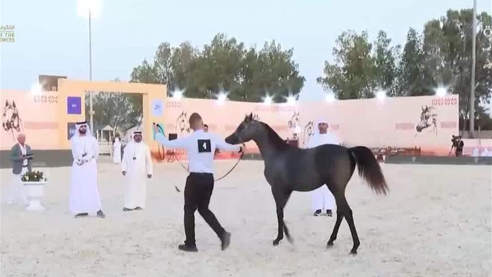 منافسات قوية في اليوم الأول لكأس الإمارات العالمي لجمال الخيل العربية بالبحرين
