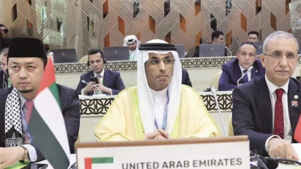 الإمارات: حل الدولتين السبيل الوحيد لتحقيق السلام العادل والشامل