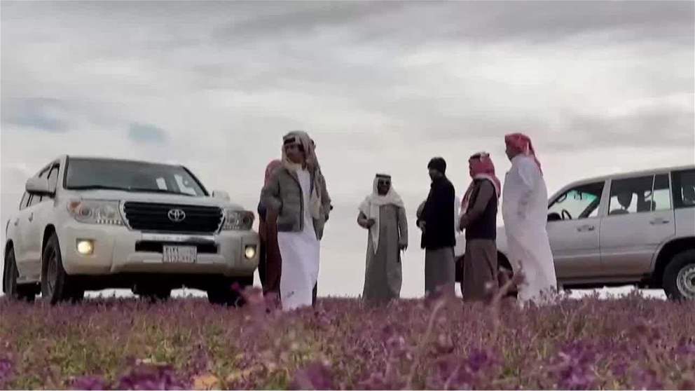 السجاد البنفسجي يثير التساؤلات مع زيارة ترامب للسعودية
