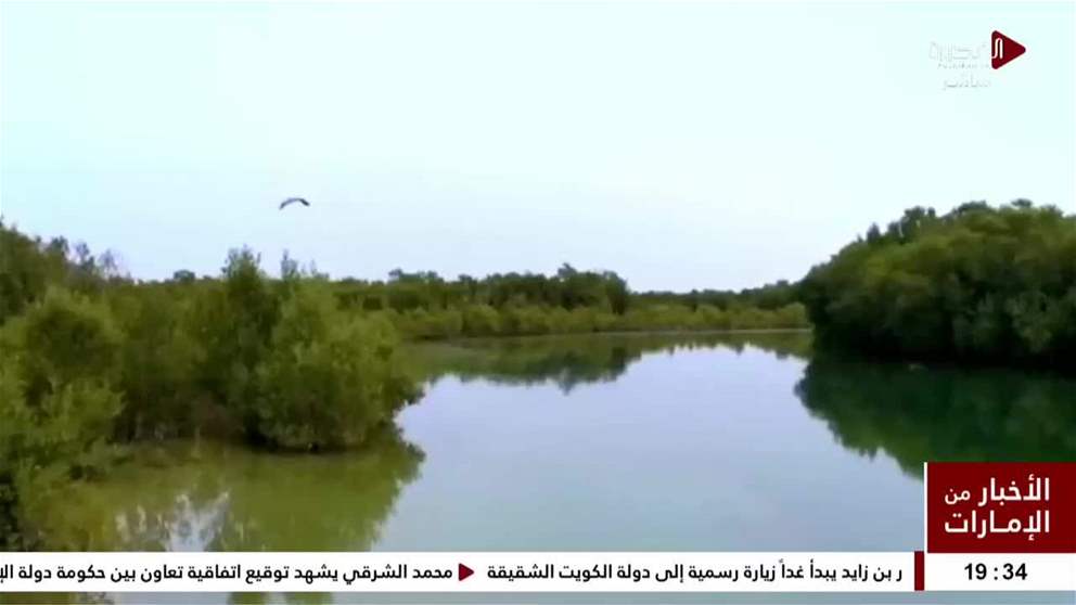 المحميات الطبيعية في الإمارات تقلص آثار تغير المناخ