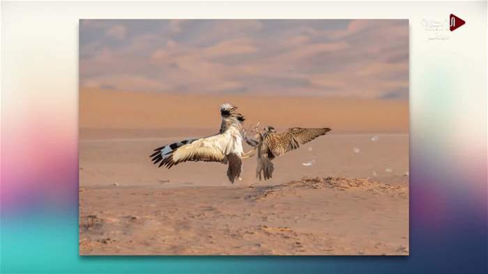 صباح الخير يا وطن