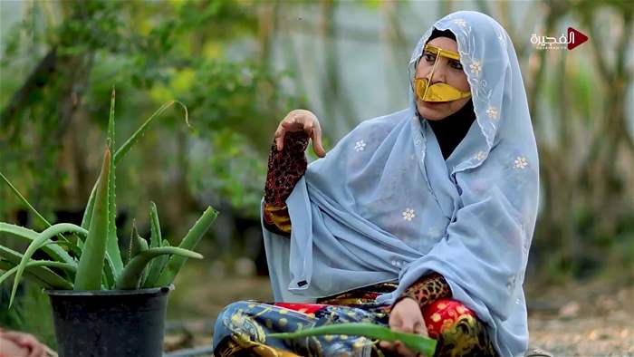 هيل وزعفران 2026