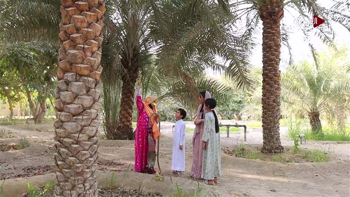 هيل وزعفران 2026