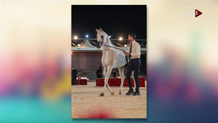 صباح الخير يا وطن