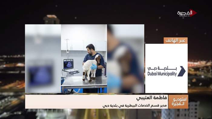 إستوديو الفجيرة 