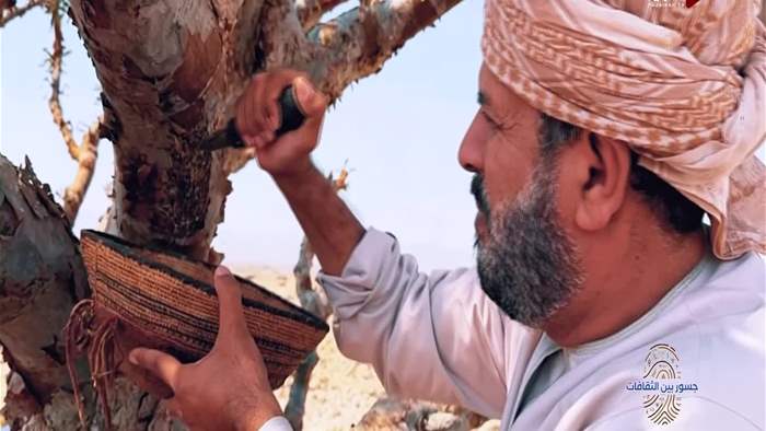 جسور بين الثقافات