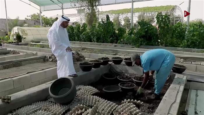 صباح الخير يا وطن