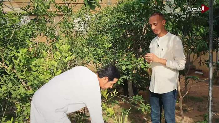 صباح الخير يا وطن