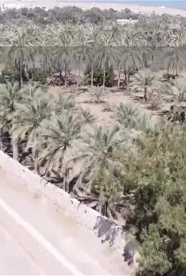 طقس الإمارات
