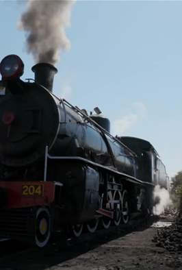 عالم الجسور