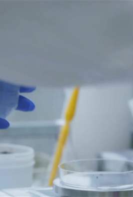 اختراعات ملغومة