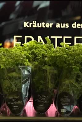 اختراعات ملغومة