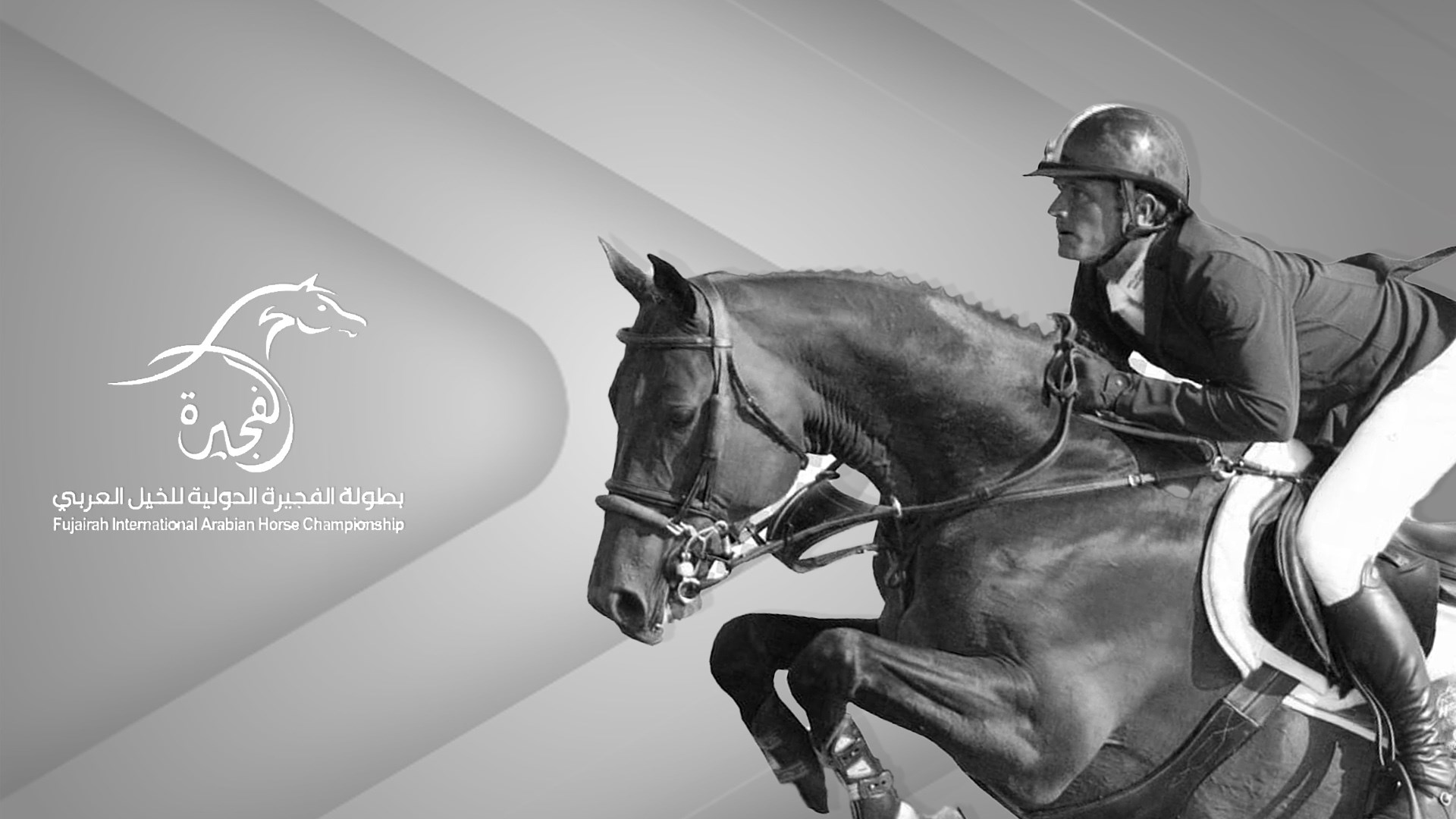 بطولة الفروسية