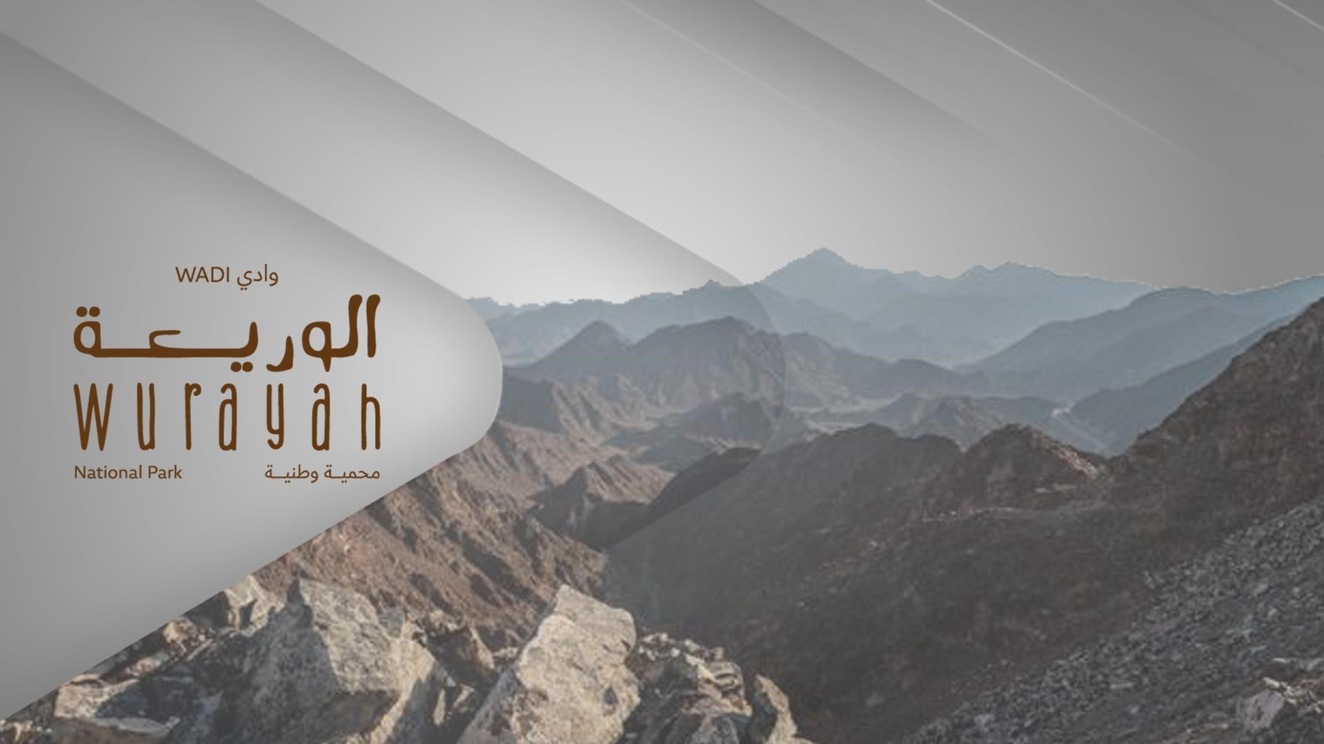 وادي الوريعة