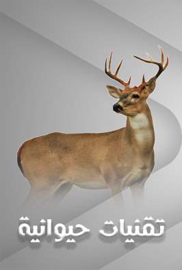 تقنيات حيوانيّة